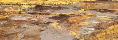 Souvenir du voyage de Marlène, Namibie