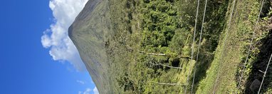 Souvenir du voyage de Angeline, Costa Rica