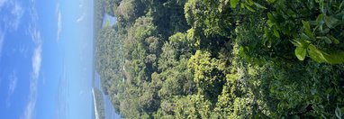 Souvenir du voyage de Angeline, Costa Rica