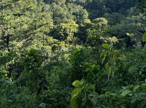 Souvenir du voyage de Angeline, Costa Rica