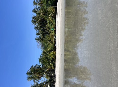 Souvenir du voyage de Angeline, Costa Rica