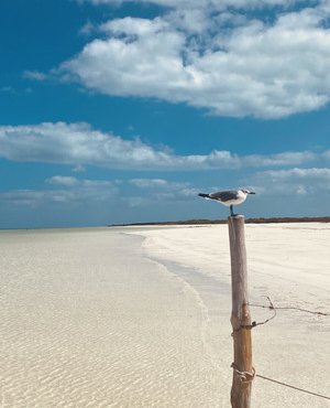 Souvenir du voyage de Regis, Mexique