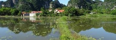 Souvenir du voyage de Patrick, Vietnam