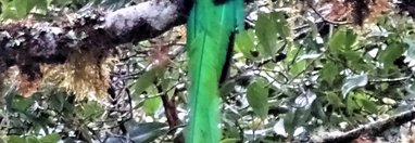 Souvenir du voyage de Claudine, Costa Rica