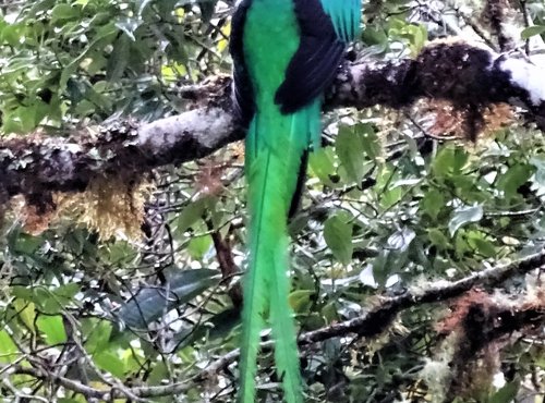 Souvenir du voyage de Claudine, Costa Rica