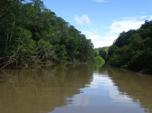 Souvenir du voyage de Claudine, Costa Rica