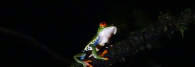 Souvenir du voyage de Claudine, Costa Rica