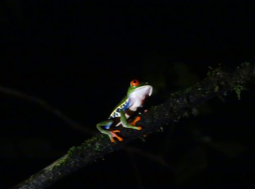 Souvenir du voyage de Claudine, Costa Rica