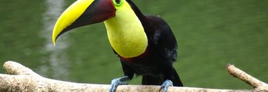 Souvenir du voyage de Claudine, Costa Rica