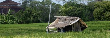 Souvenir du voyage de Janique, Indonésie