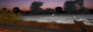 Souvenir du voyage de Yann, Namibie