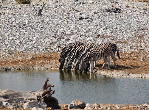 Souvenir du voyage de Yann, Namibie