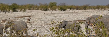 Souvenir du voyage de Yann, Namibie