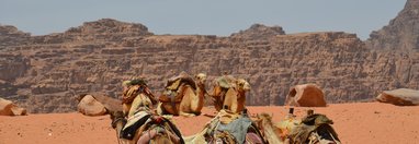 Souvenir du voyage de Nadine, Jordanie