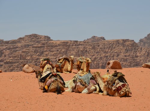 Souvenir du voyage de Nadine, Jordanie