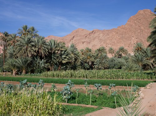 Souvenir du voyage de Frédéric, Maroc