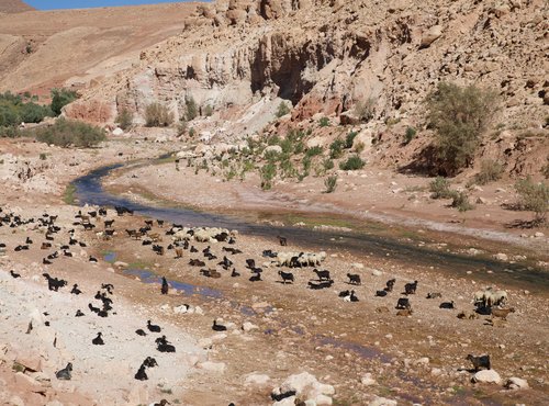 Souvenir du voyage de Frédéric, Maroc