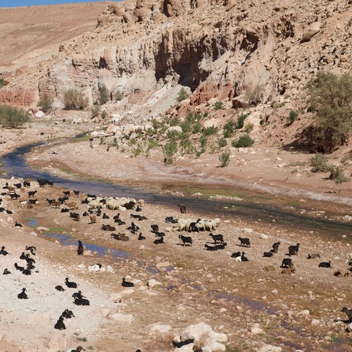 Souvenir du voyage de Frédéric, Maroc