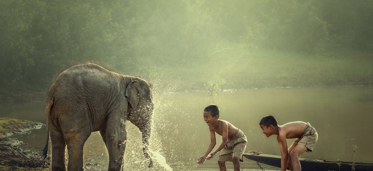 Deux garçons jouent dans l'eau avec un bébé éléphant Laos