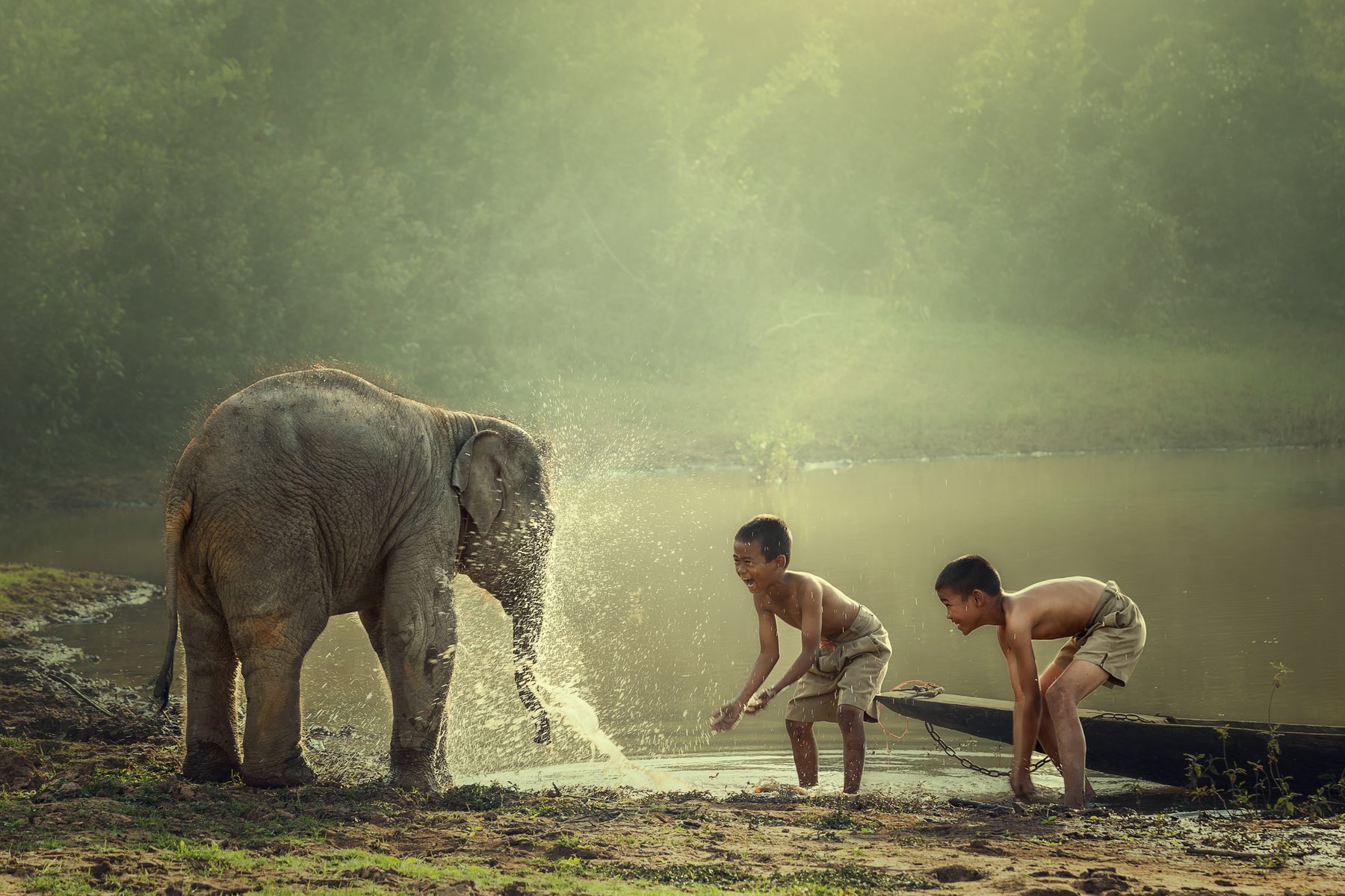 Deux garçons jouent dans l'eau avec un bébé éléphant Laos