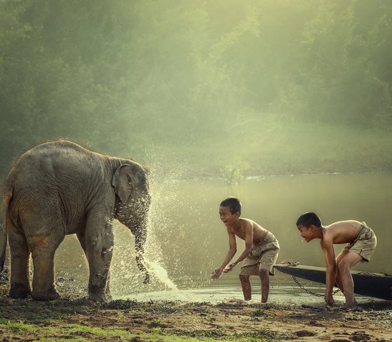 Deux garçons jouent dans l'eau avec un bébé éléphant Laos