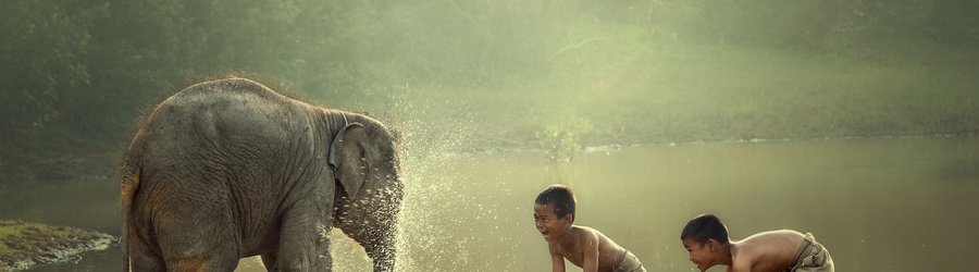 Deux garçons jouent dans l'eau avec un bébé éléphant Laos