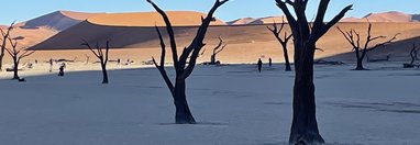 Souvenir du voyage de Fabien, Namibie