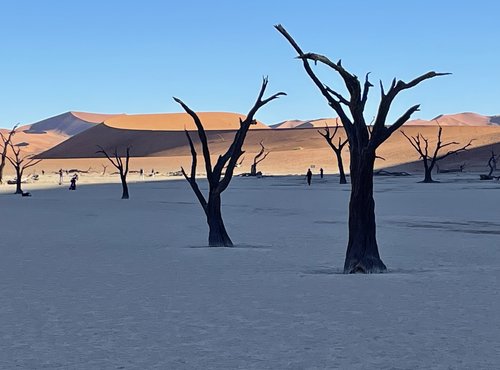 Souvenir du voyage de Fabien, Namibie