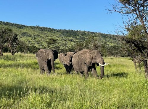 Souvenir du voyage de Ines, Tanzanie