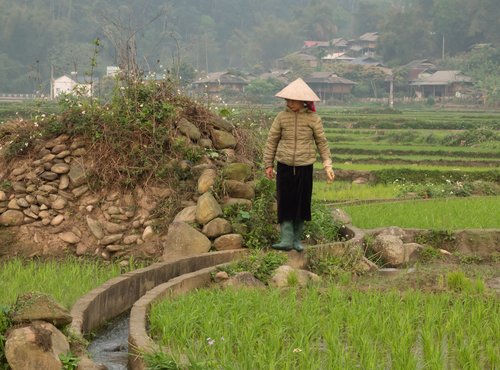 Souvenir du voyage de Eric, Vietnam