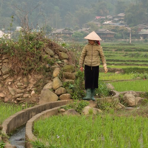 Souvenir du voyage de Eric, Vietnam