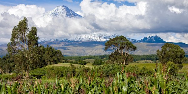 Equateur avenue volcans