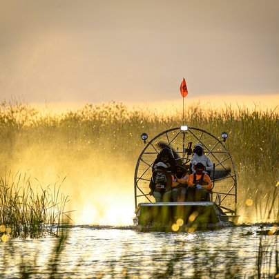 Everglades en Floride aux Etats Unis