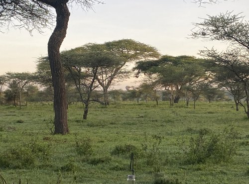 Souvenir du voyage de Ines, Tanzanie