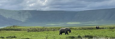 Souvenir du voyage de Ines, Tanzanie