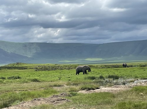 Souvenir du voyage de Ines, Tanzanie