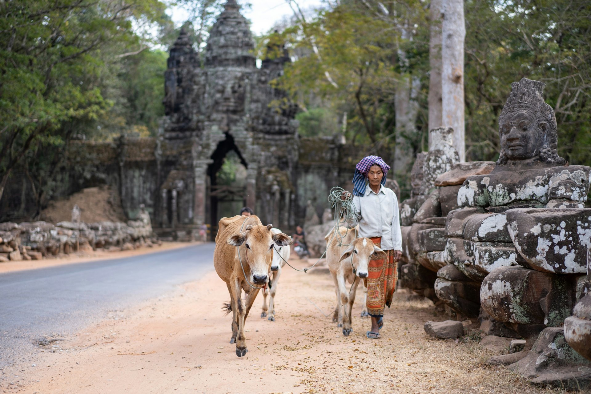 Femme cambodgienne avec une vache, Angkor Thom, Siem Reap, Cambodge