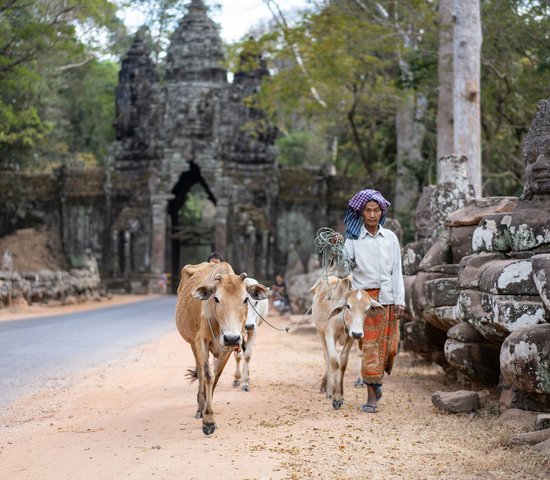 Femme cambodgienne avec une vache, Angkor Thom, Siem Reap, Cambodge