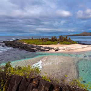 Galapagos