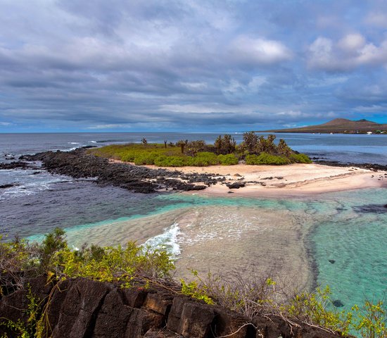 Galapagos