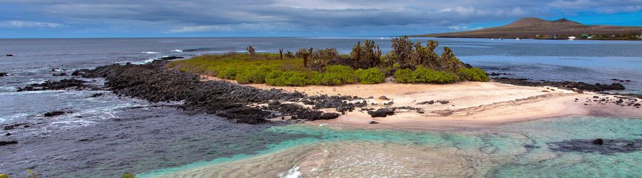 Galapagos