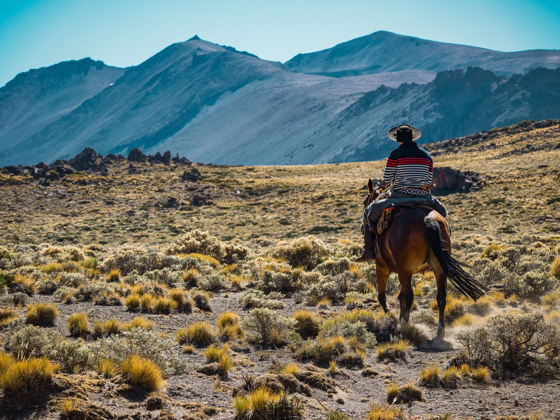 Gaucho sur un cheval en Patagonie, Argentine