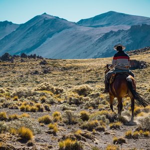 Gaucho sur un cheval en Patagonie, Argentine
