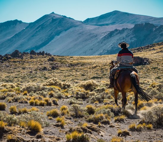 Gaucho sur un cheval en Patagonie, Argentine