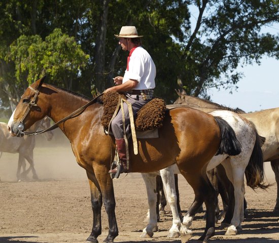 Gauchos sur un cheval, Argentine