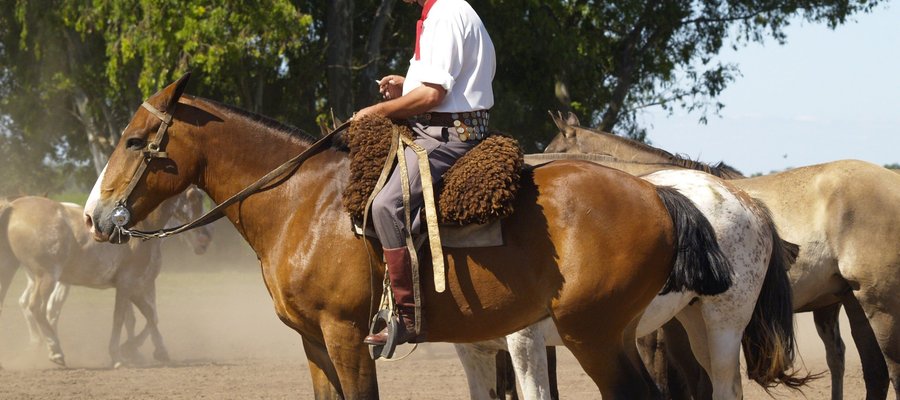 Gauchos sur un cheval, Argentine