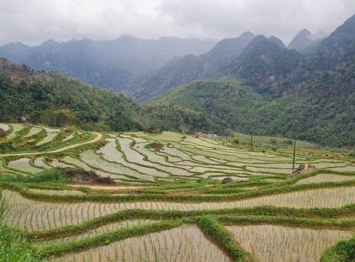 Souvenir du voyage de Valérie, Vietnam