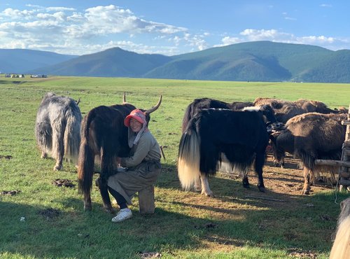 Souvenir du voyage de Nathalie, Mongolie