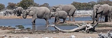 Souvenir du voyage de Carine, Namibie