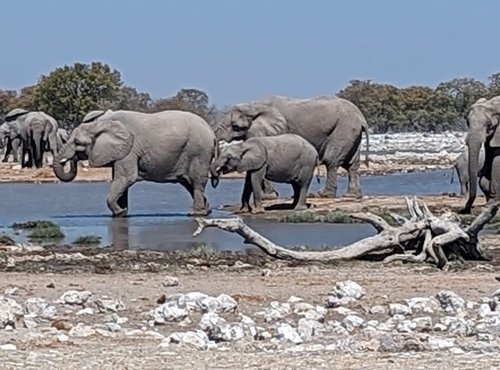 Souvenir du voyage de Carine, Namibie